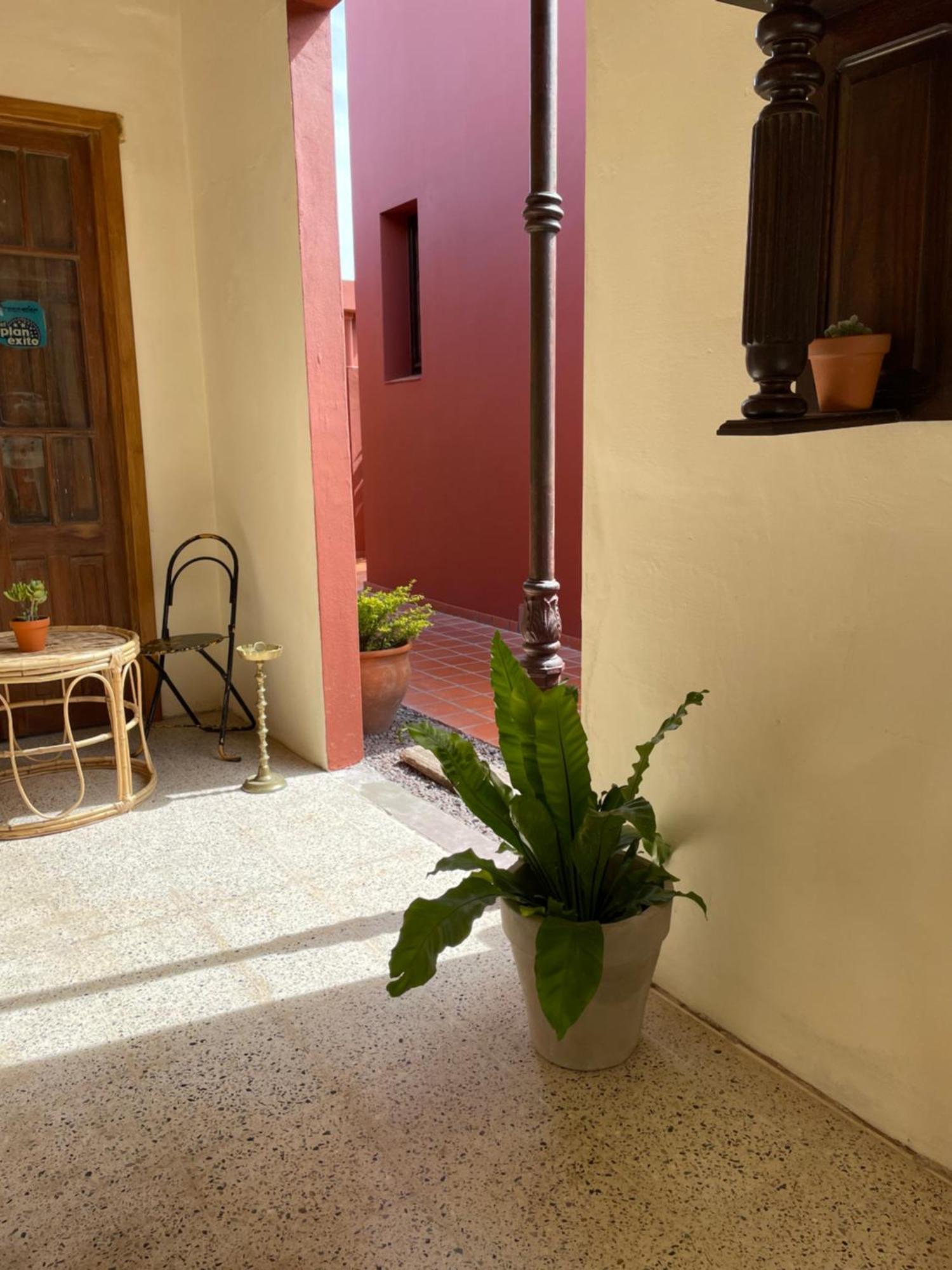 مبيت وإفطار سان أنطونيو دي أريكو La Escondida, Casa De Huespedes المظهر الخارجي الصورة